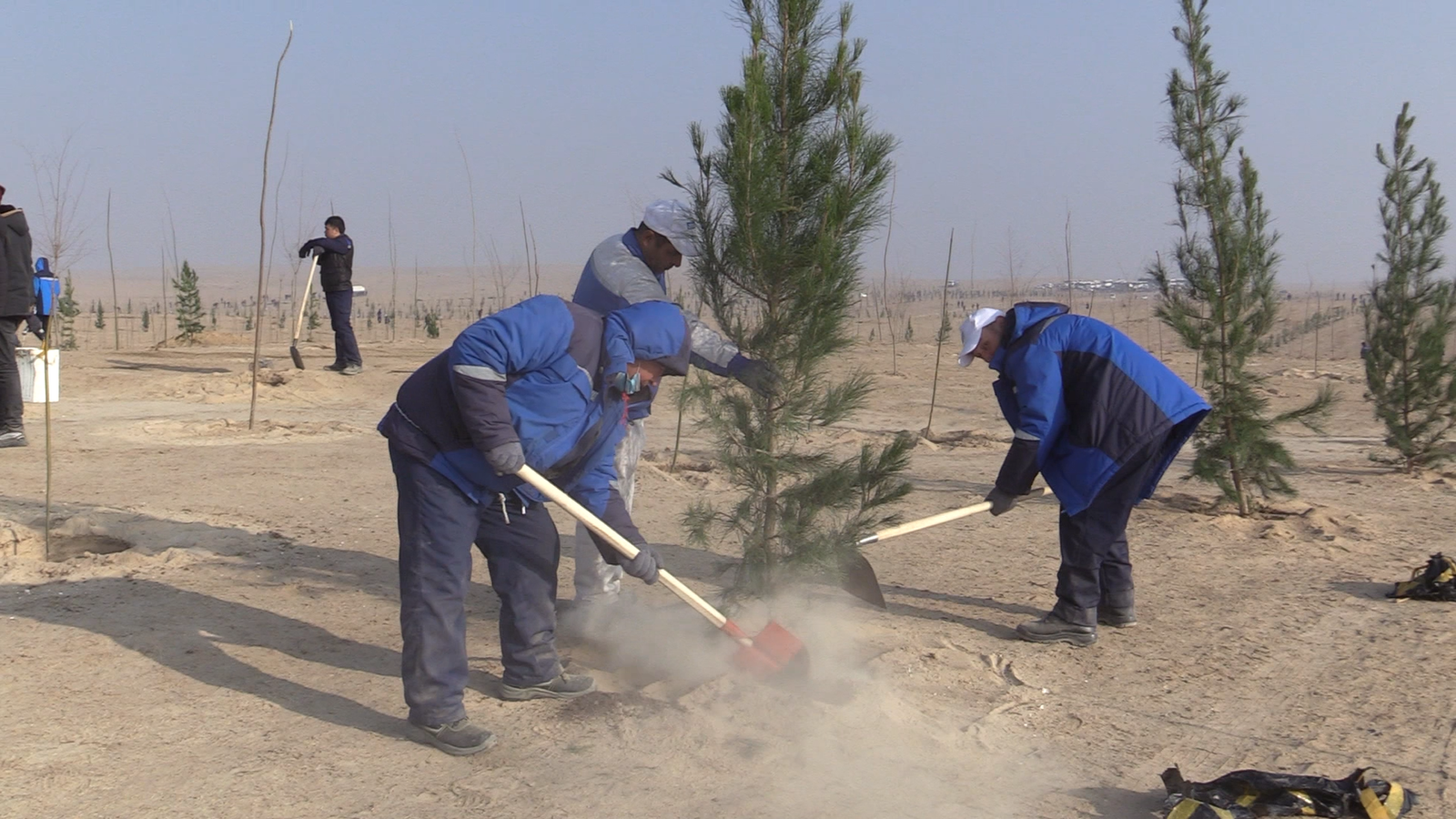 “UZAUTO MOTORS” AJ XODIMLARI “YASHIL MAKON” UMUMMILLIY LOYIHASINI FAOL QO‘LLAB-QUVVATLASHDI VA O’RMON PARKINI BARPO ETISHDA ISHTIROK ETISHDI