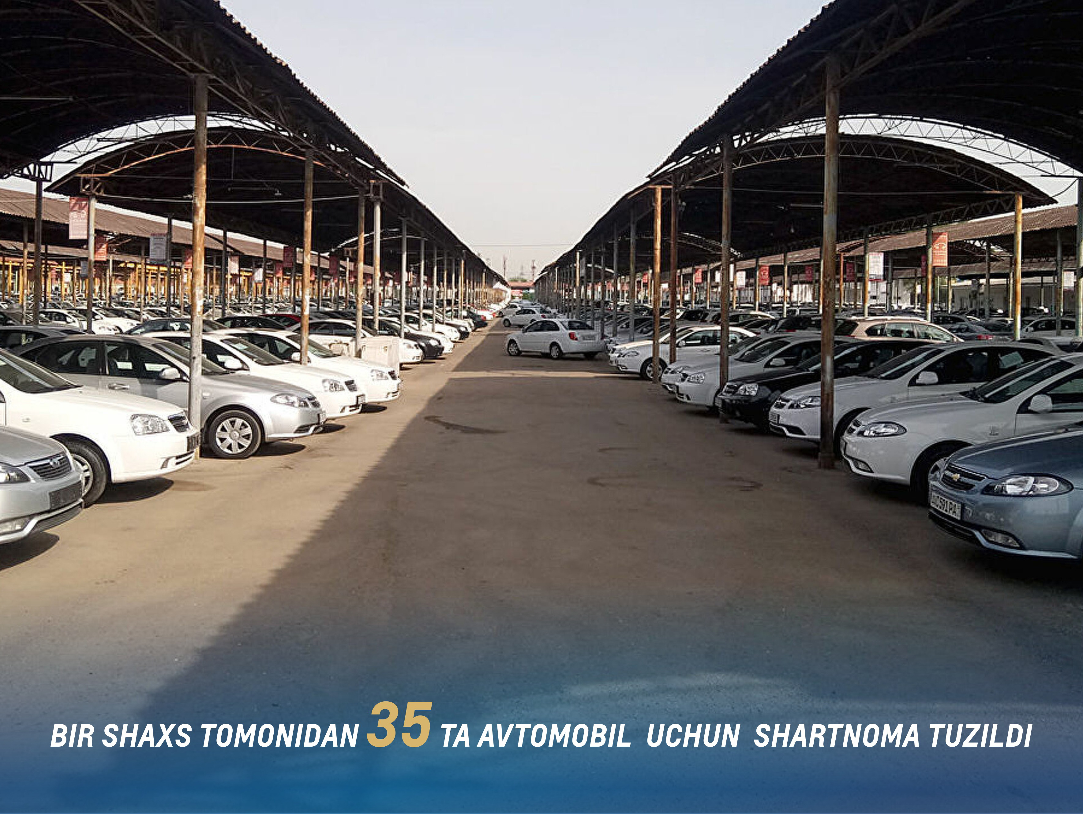 Большая часть автомобилей, проданных в первый день возобновления приёма заявок на новые машины, была, вероятно, приобретена для перепродажи