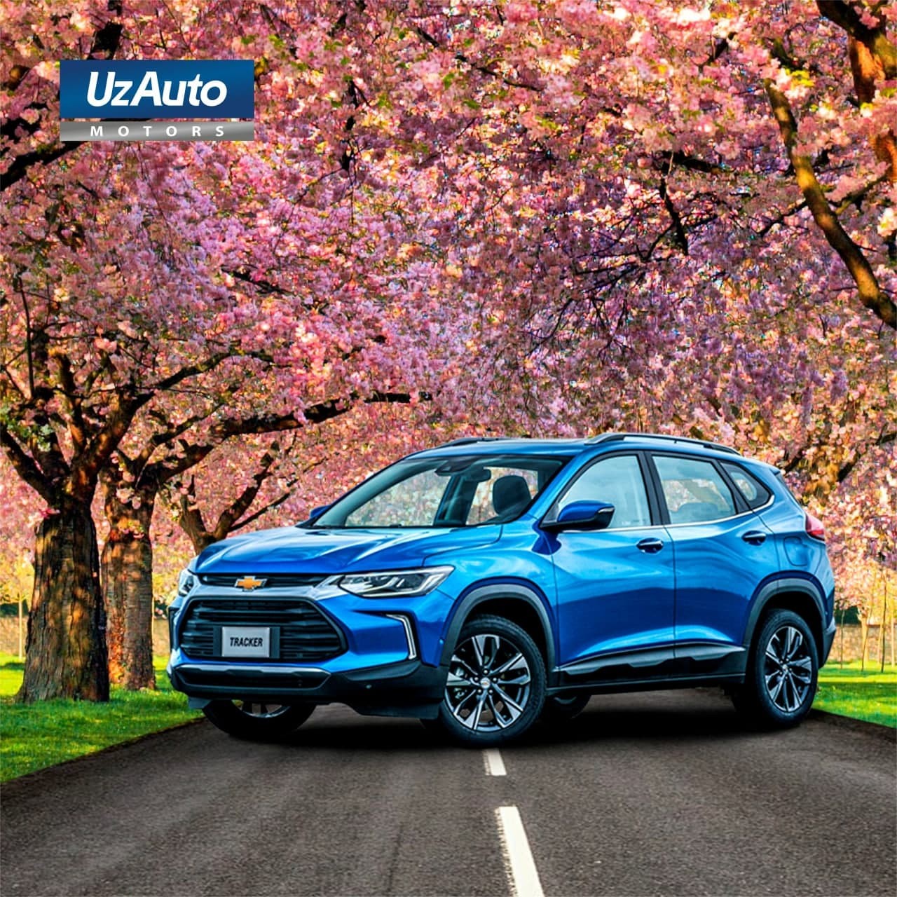 ”UzAuto Motors” AJ jamoasi  sizlarni bahor faslining ilk kuni bilan muborakbod etadi